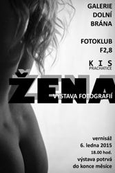 plakat_zena_2015_s_textema